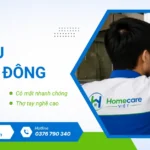 Sửa tủ đông