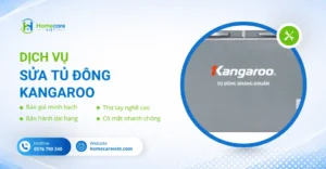 Sửa tủ đông Kangaroo