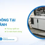 Sửa tủ đông tại Bình Chánh