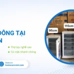 Sửa tủ đông tại Hóc Môn