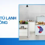 nên mua tủ lạnh hay tủ đông