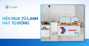nên mua tủ lạnh hay tủ đông